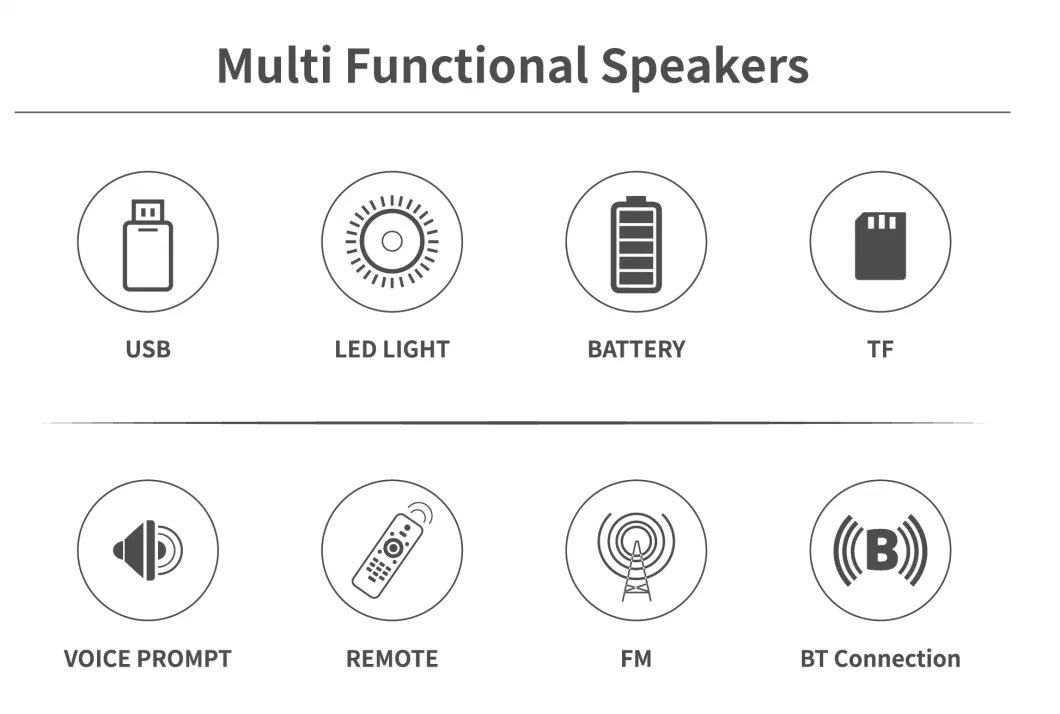 Temeisheng Factory Direct Supply Jbl- Subwoofer 10 Inch Big DJ Powered LED Blue Tooth Party Speaker with Light